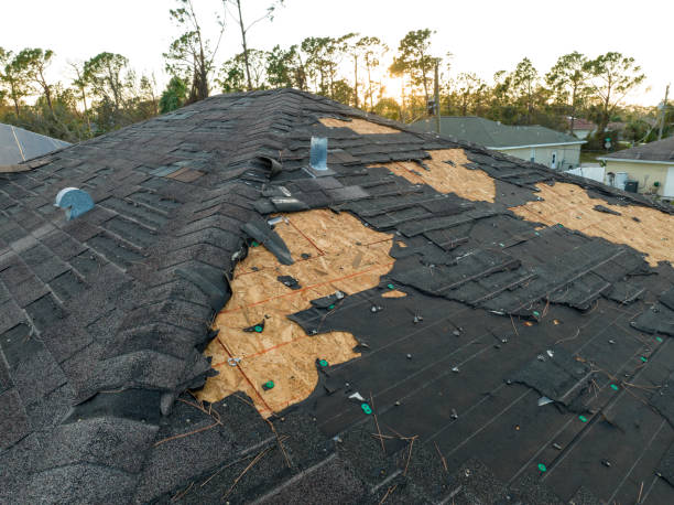 Best Roof Moss and Algae Removal  in USA